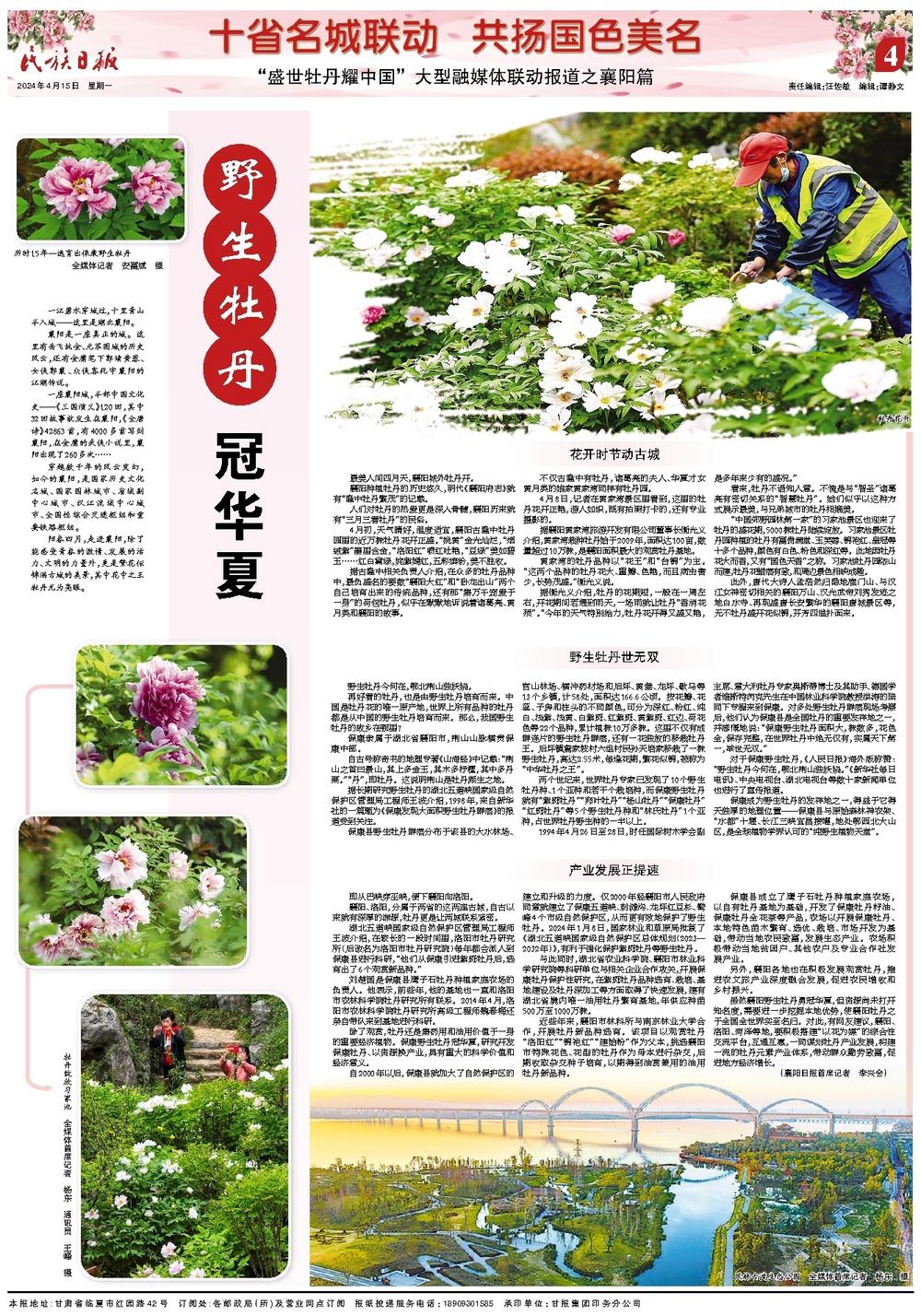 db711c6b-88c4-4034-b4c6-d1e90392efd8.jpg.jpg