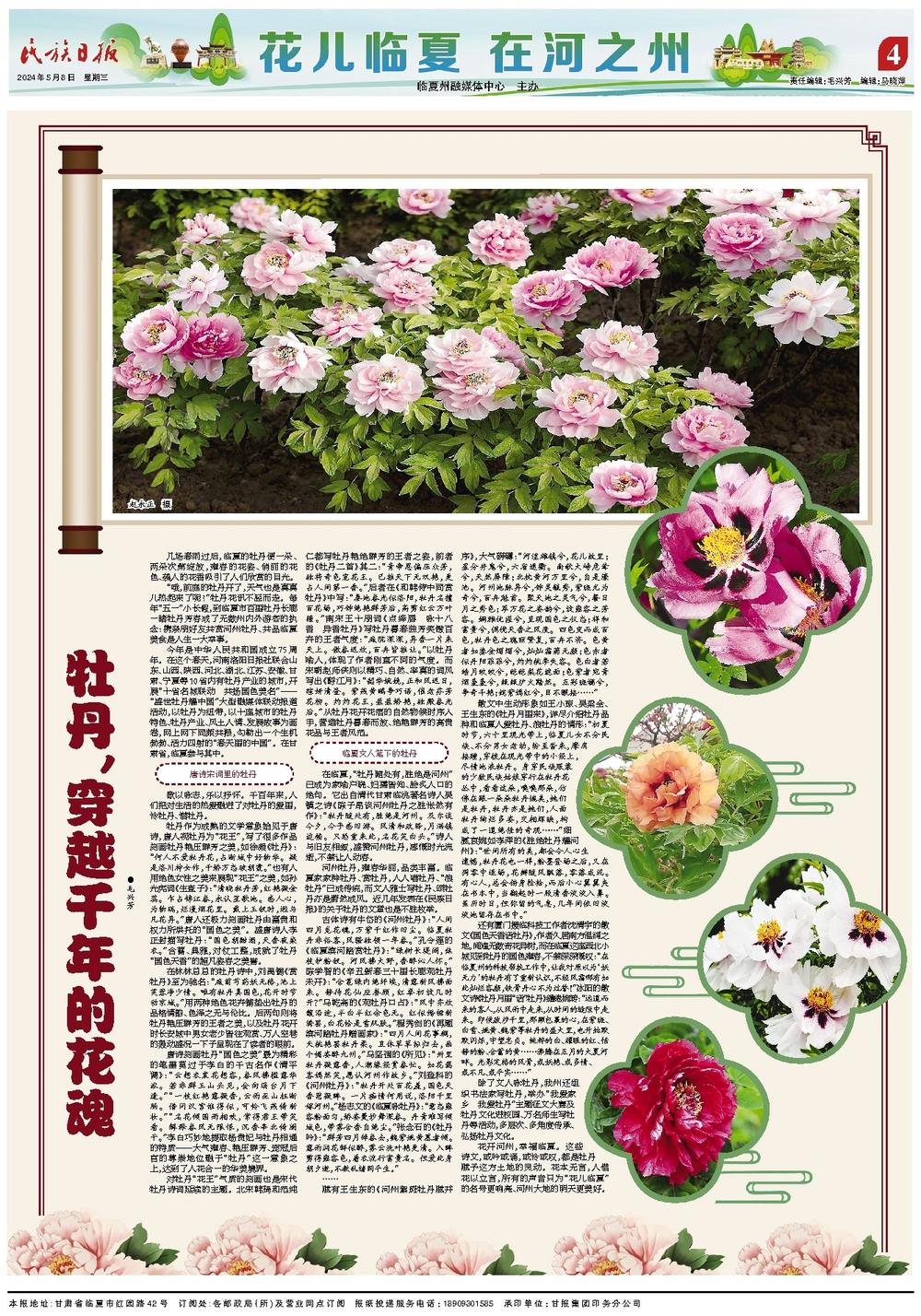 b0269fa6-d563-4afb-ae56-f54d4893f013.jpg.jpg
