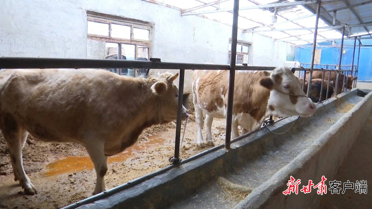 FZ007237792438_A4895571