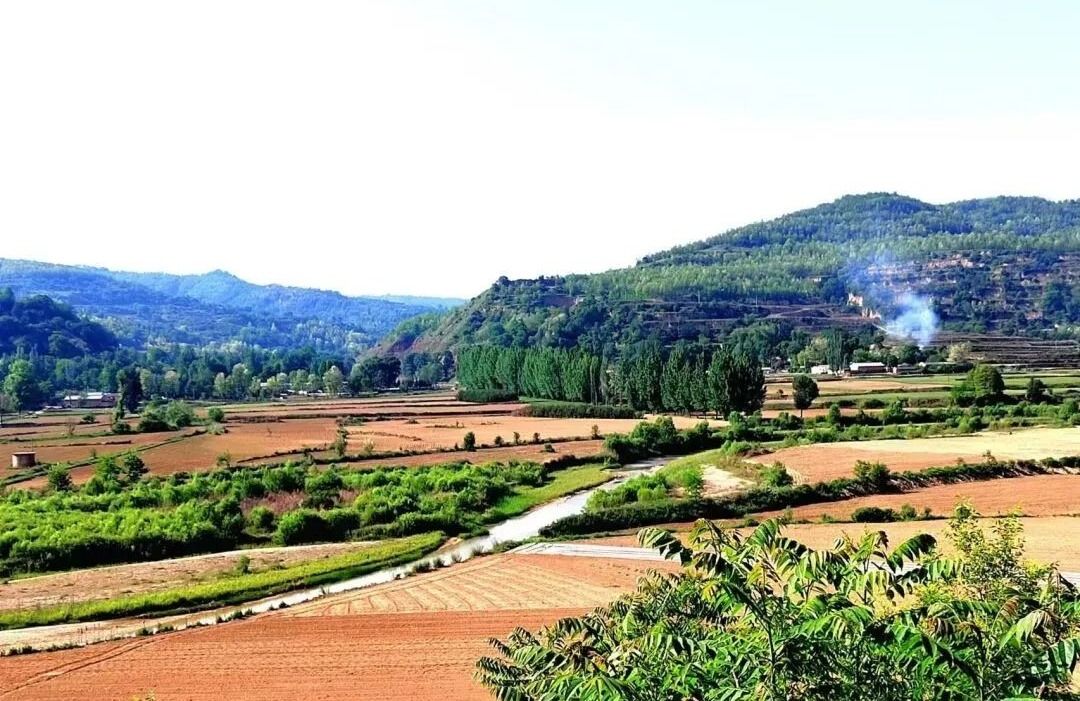 1737112576009019924.jpg 1737112576009019924.jpg