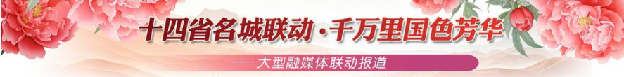 截图20250403090642.png