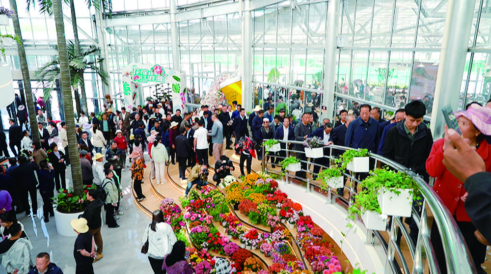 1747445108730930.jpg 3b124dd4-4ddd-45f8-ae77-8d43ce50ff49.tif.jpg