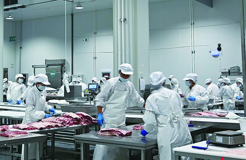 1747788169166244.jpg d54e864d-0600-46cf-90d2-edd46024624d.tif.jpg