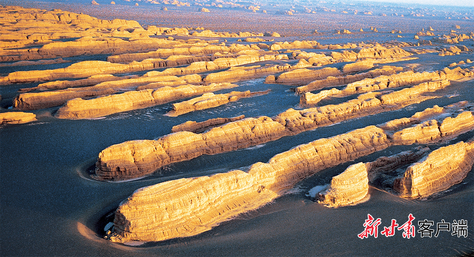 FZ007241453400_A5168835