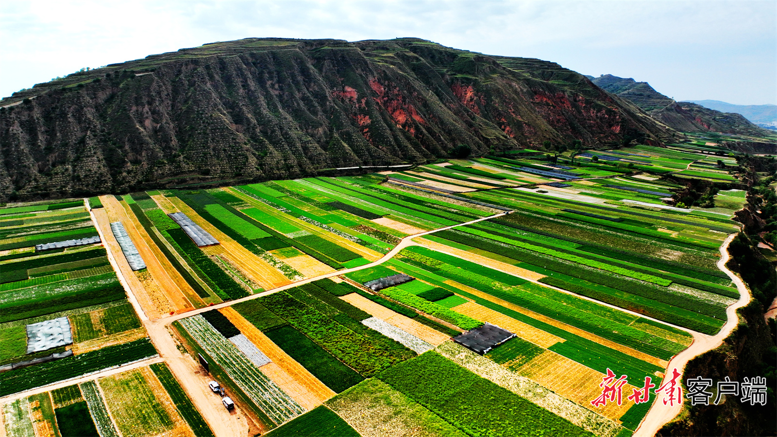 2(41507088)-20250618073101