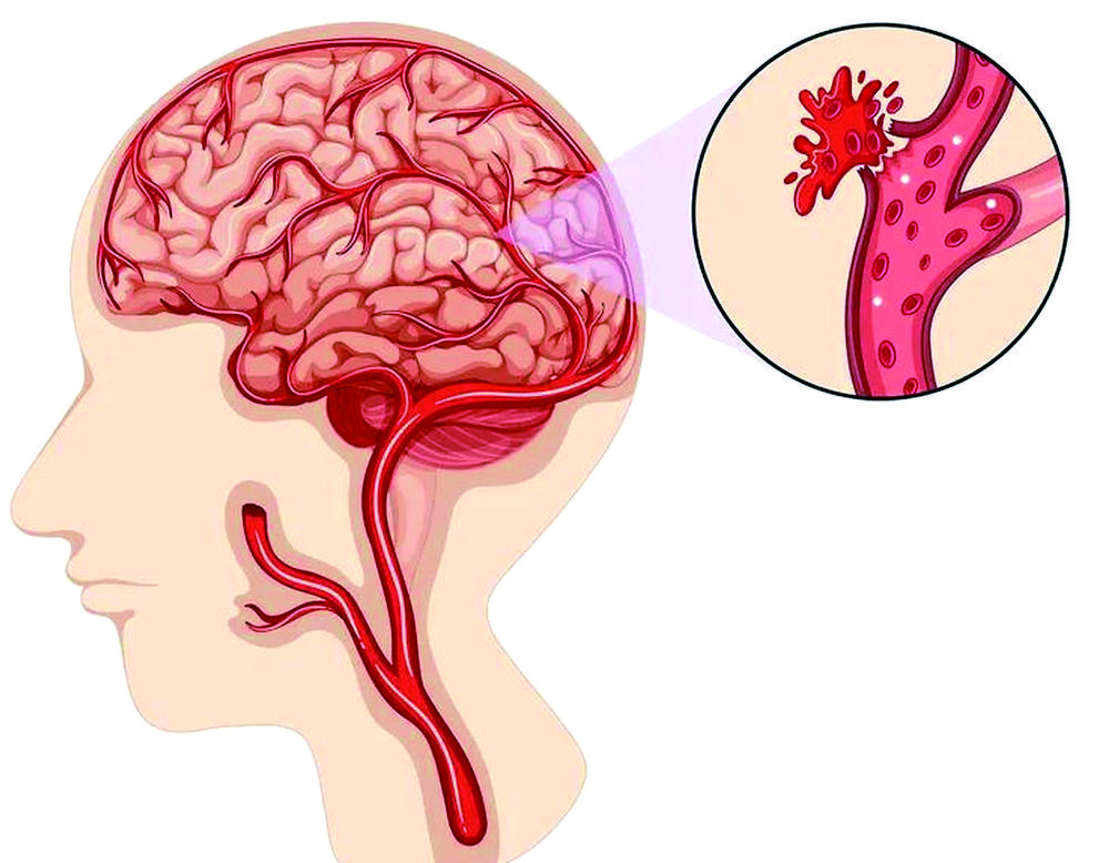 1761533945993881.jpg e9ca8d73-6bdc-4007-a2ae-786ccabc432a.tif.jpg