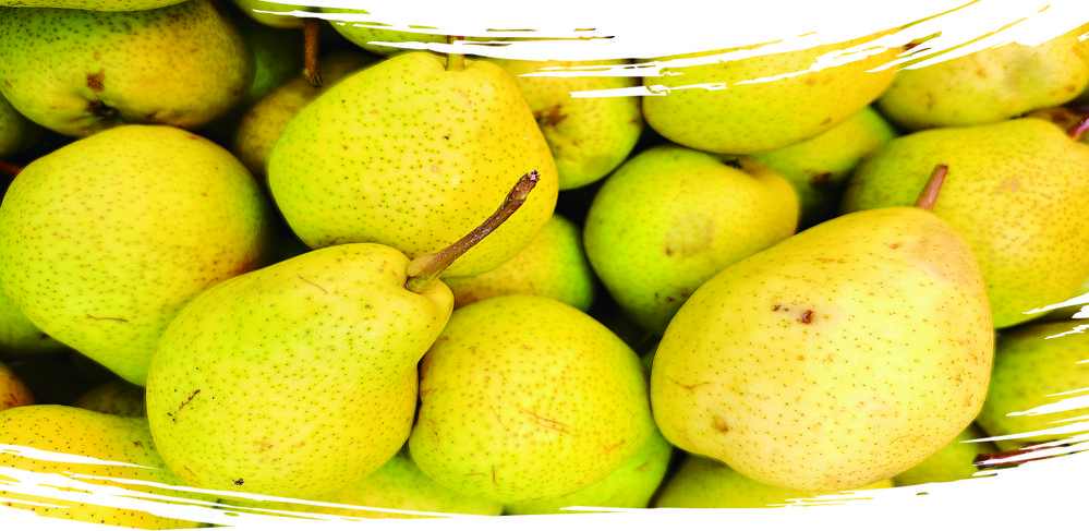 1762911366862797.jpg 2b2db325-7680-4f8f-bd5e-50b13cbb4f74.tif.jpg