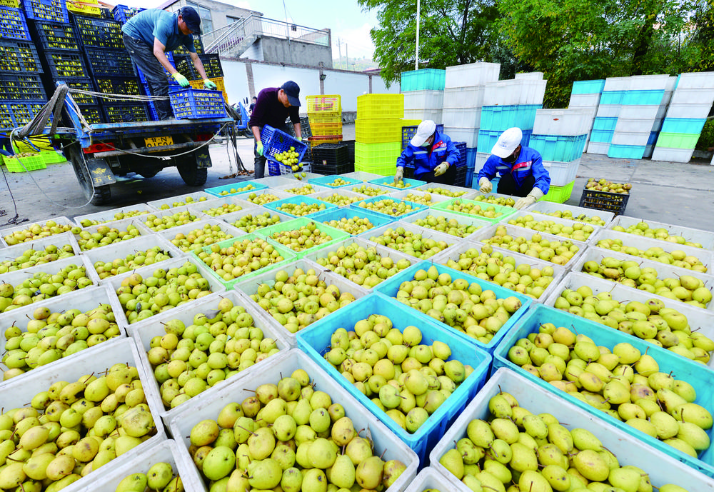 1762911423230365.jpg d2b6788b-175f-4b5b-910f-466b6b11e29c.tif.jpg