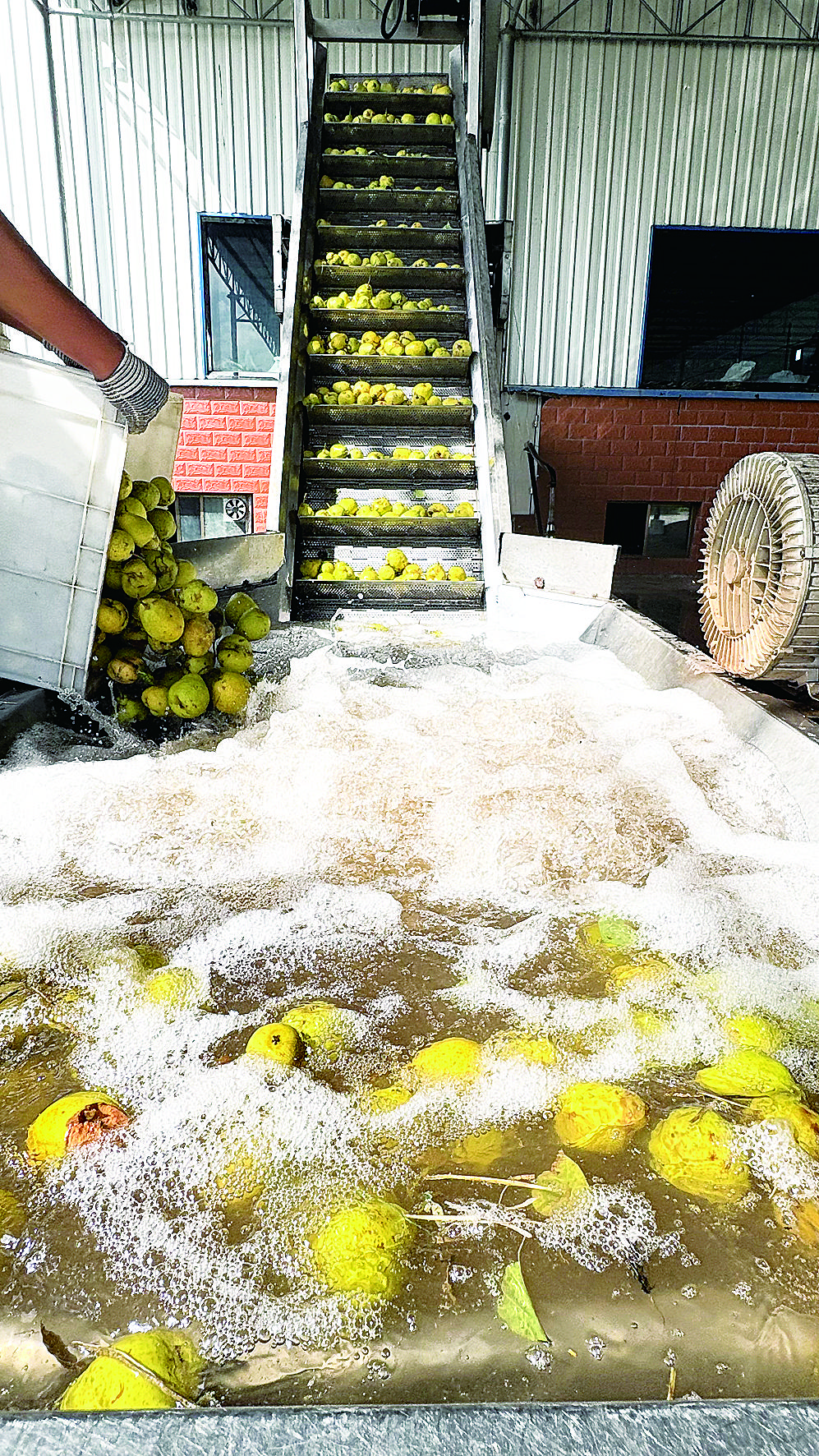 1762911448904255.jpg 5e9221b9-ae7b-4d63-a1cc-18f740865593.tif.jpg