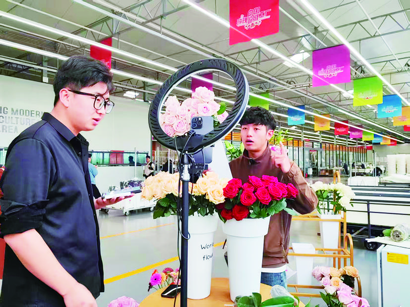 1763084826909372.jpg c0cc3154-ae9c-4c50-b203-30529137d1ba.tif.jpg