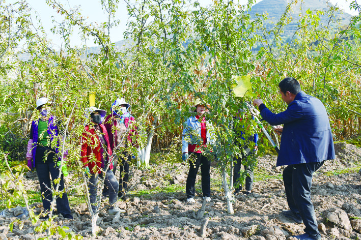 1763600903546332.jpg 52b27cb5-9686-4c74-ab79-4ed8deb26373.tif.jpg