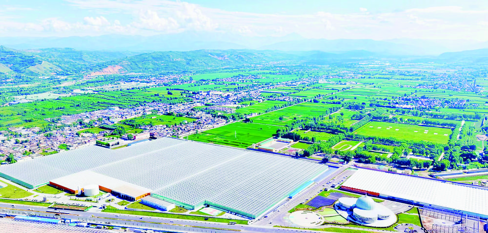 1766107627862157.jpg 57b74139-e7c9-4887-a568-76e3da68d2fa.tif.jpg