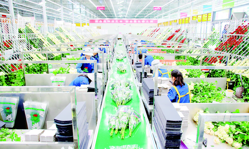 1766107660775421.jpg 7c47624b-b4f5-4fe6-ac73-1ba8f0826c5a.tif.jpg