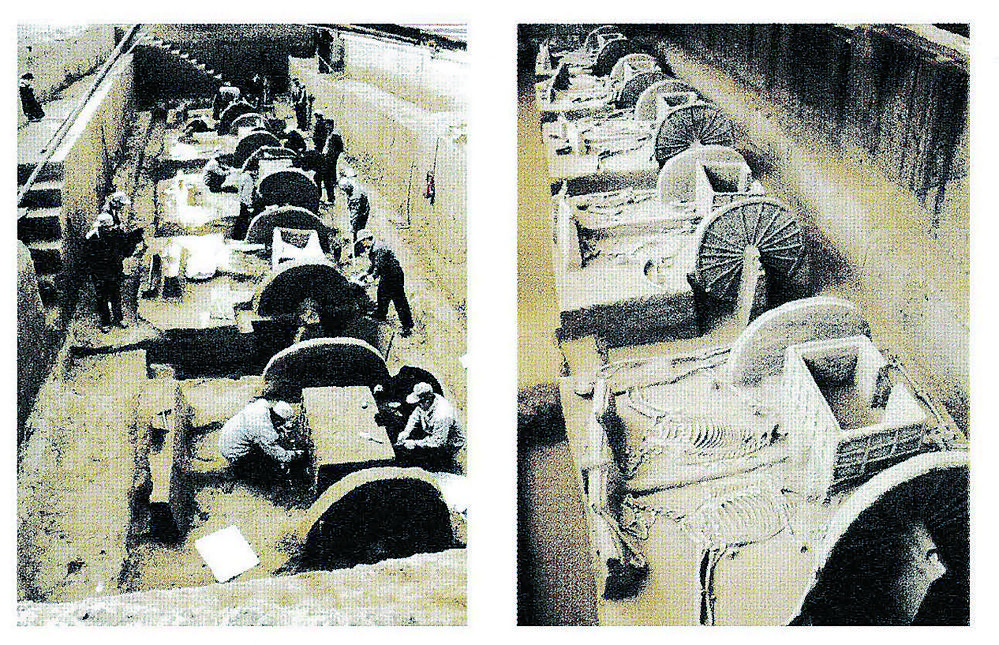 1774315009565727.jpg 8b9a2b20-02d4-4312-a342-eab524c6f255.tif.jpg