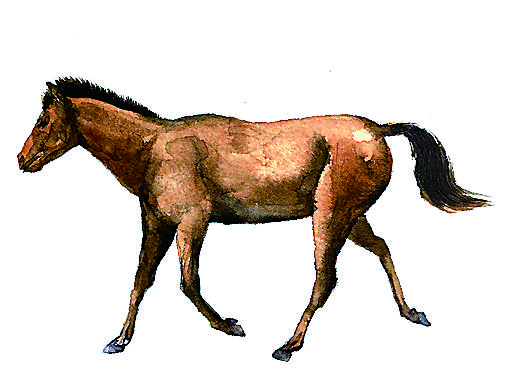 1774315341115359.jpg e94215c5-e0b5-43b9-b06b-0158de35aeb3.tif.jpg