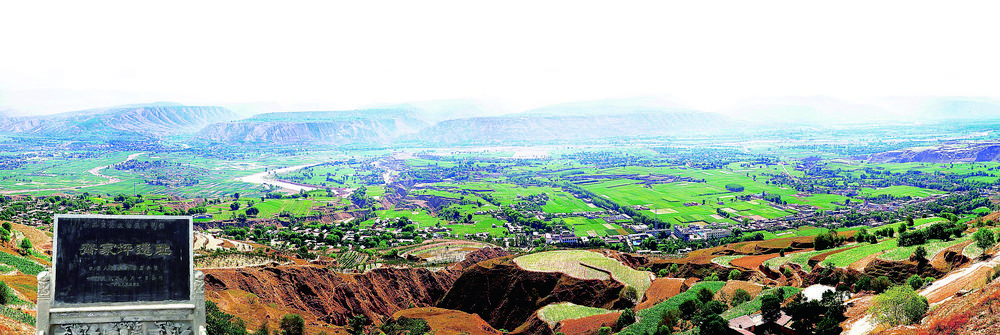 1774315540338873.jpg 21fc5083-1368-40a3-a7ce-729811cef188.tif.jpg