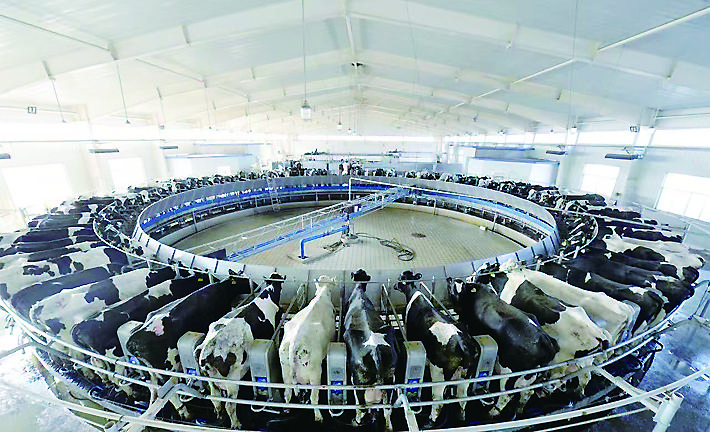 1774315880229154.jpg 1074dc61-fdd8-4f37-a93e-207f1db6d7c8.tif.jpg