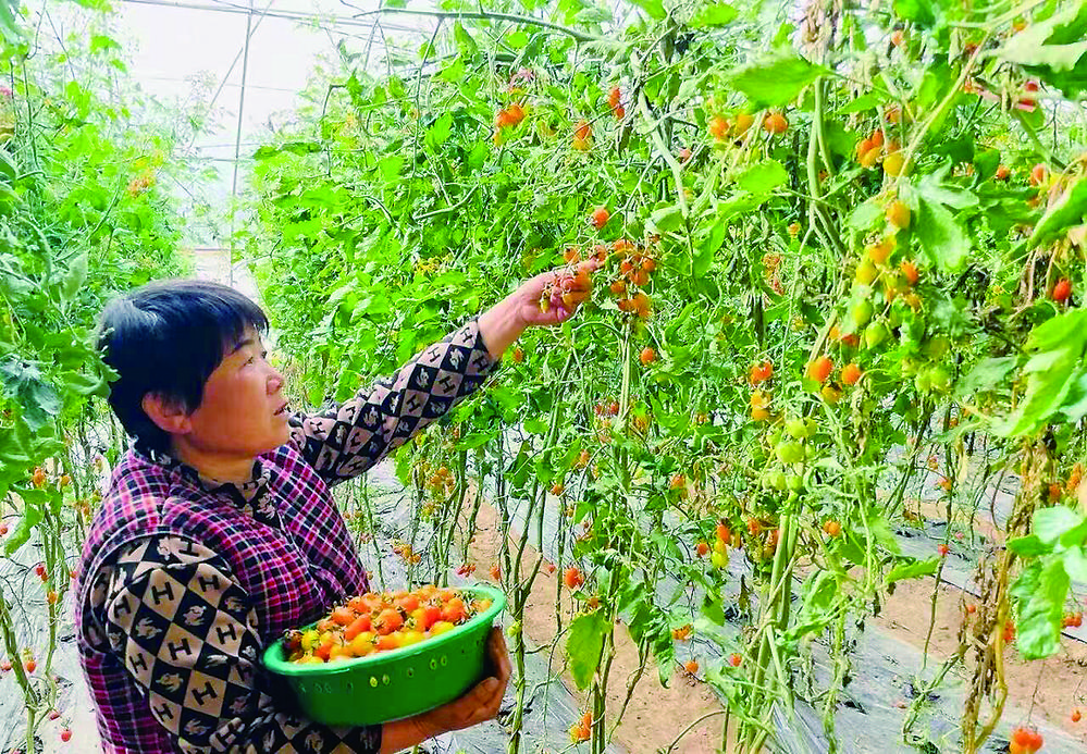 1774315887960124.jpg 6e290ba7-ce5b-41f8-8746-36471fade6eb.tif.jpg