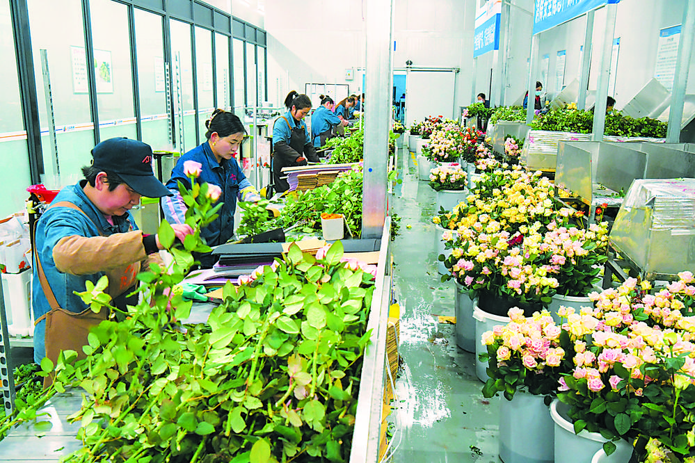1781660812947717.jpg b1b2a179-31cf-4757-945b-815f323ab69a.tif.jpg