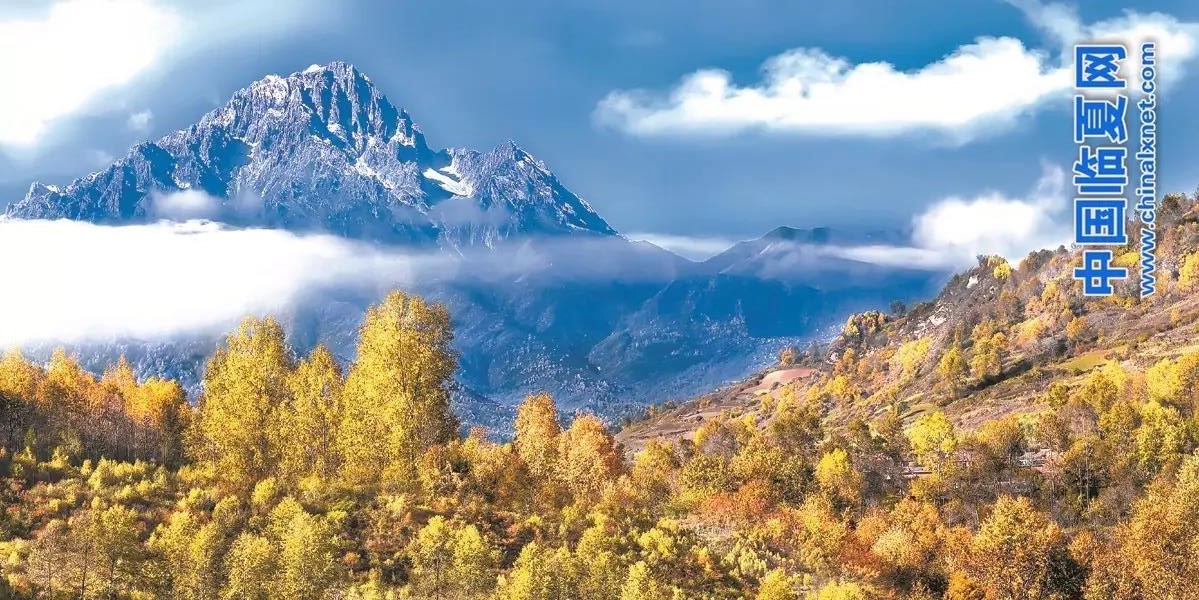 1505356391375699.jpg 1505356391375699.jpg