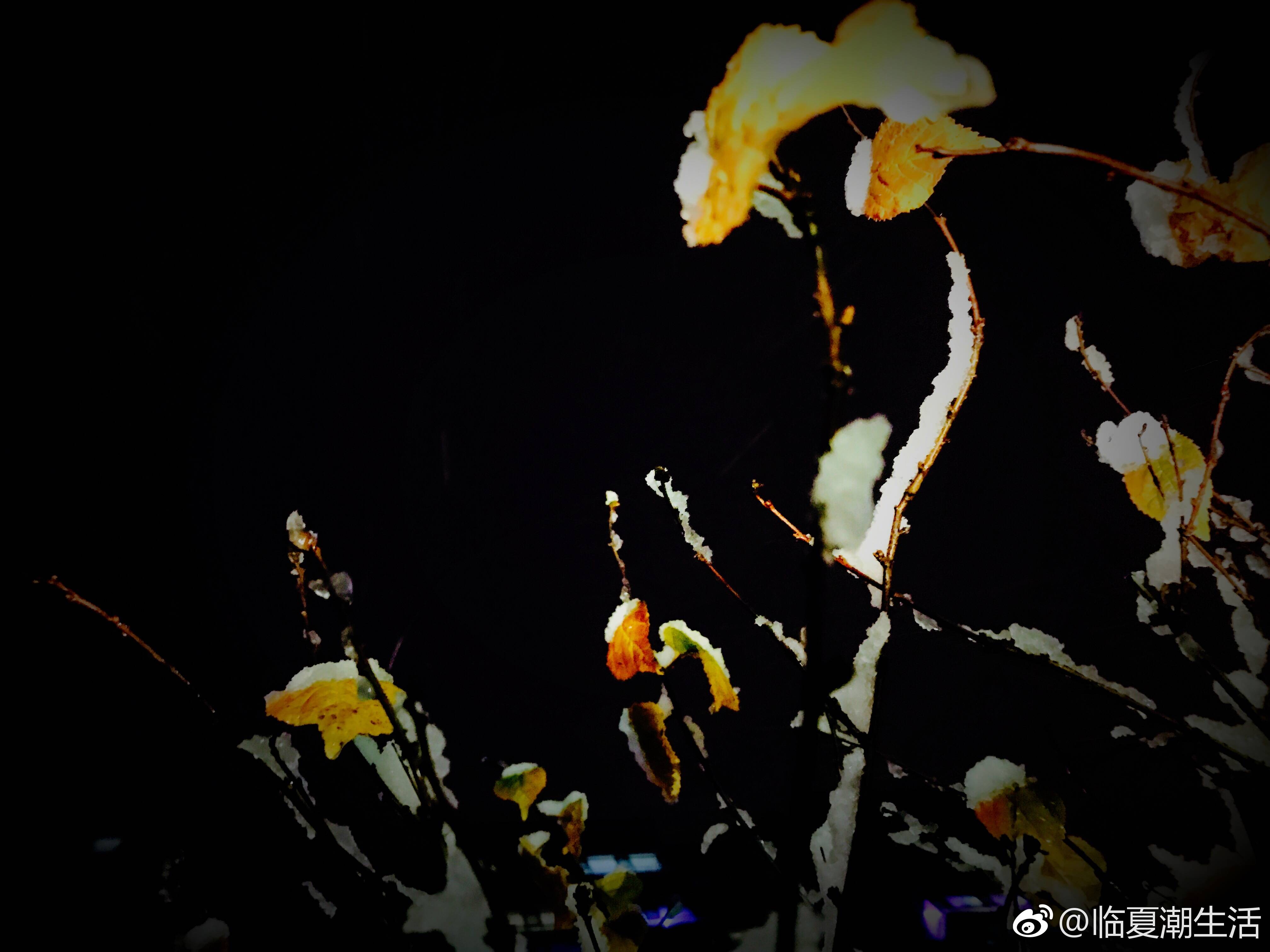 1507601643171694.jpg