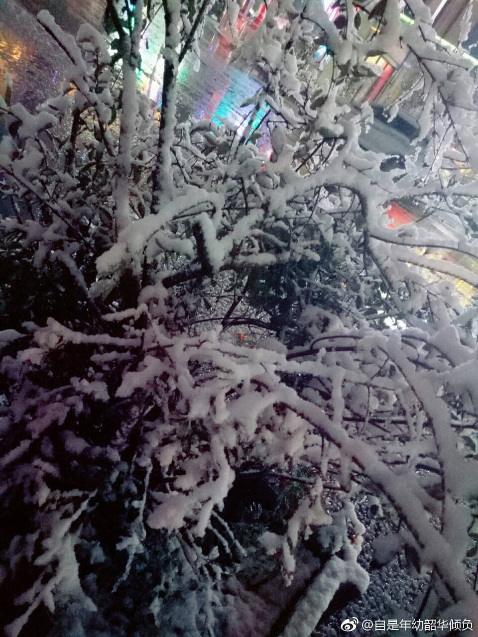 1507601741412537.jpg