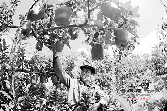 1508223339919200.jpg 11.jpg