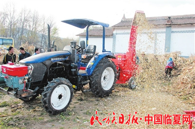 38461511658282671_副本.jpg