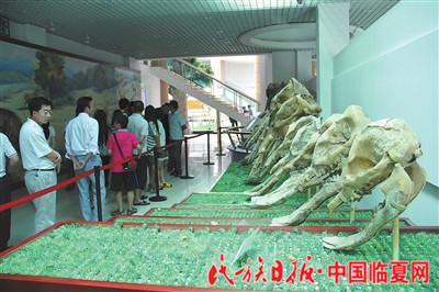 56931506826083375_副本.jpg