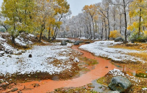 1513822384439326.jpg 1112797334_title1n.jpg