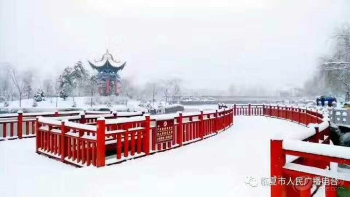 1513822558708803.jpg 1.jpg