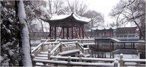 1513822581973033.jpg 2.jpg