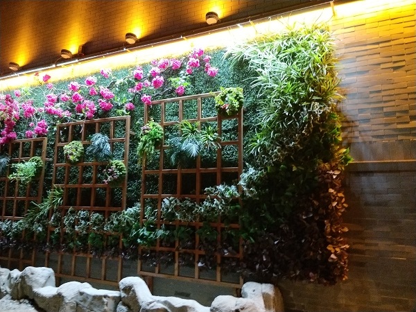 IMG20180211201114.jpg
