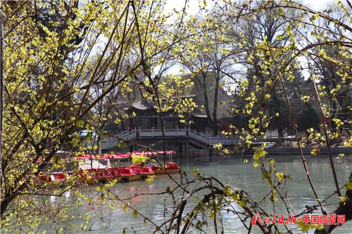 花、湖_副本.jpg