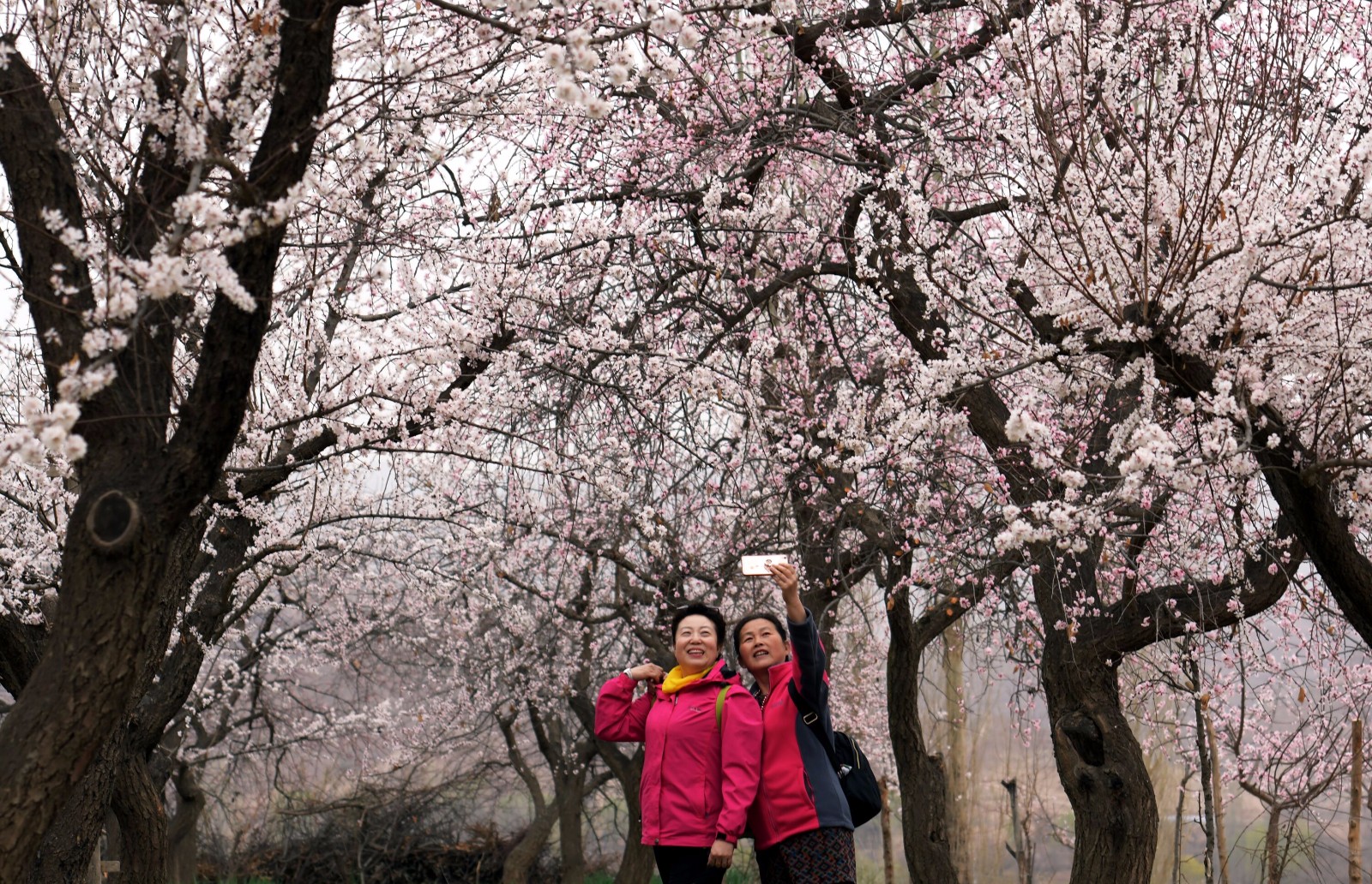 1524447970218025.jpg 1524447970218025.jpg