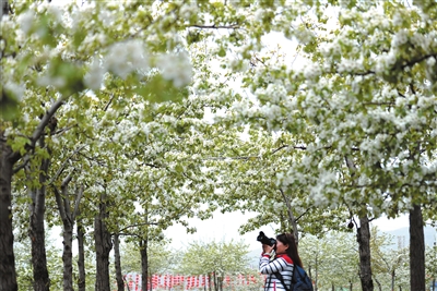 1524792814161279.jpg 1.jpg