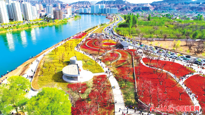 1524882264475986.jpg 黄河花堤郁金香花海 700大.jpg