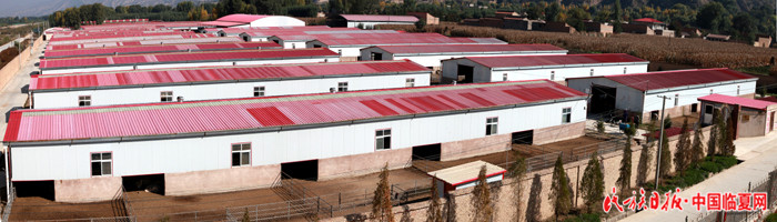 现代化的广河县寺后子养殖基地 700大.jpg