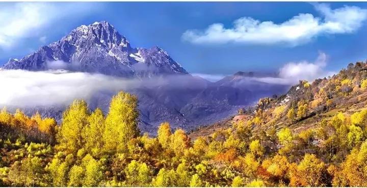 1535359487396670.jpg 2.jpg