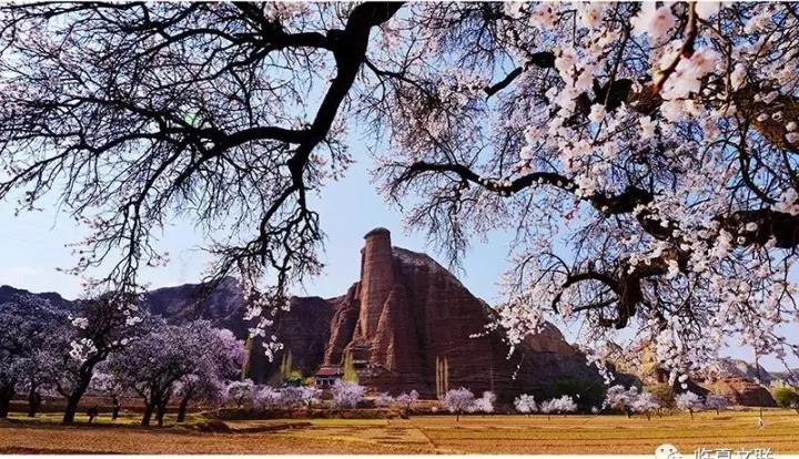 1535359522724407.jpg 3.jpg