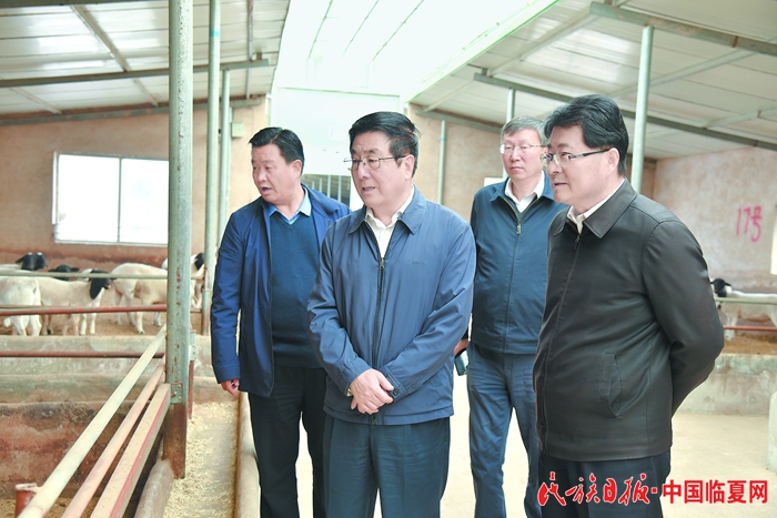 10月24日，省委书记、省人大常委会主任林铎在东乡县进行专题调研。甘肃日报记者陈多摄_副本.jpg