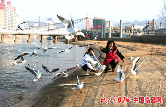 15.png