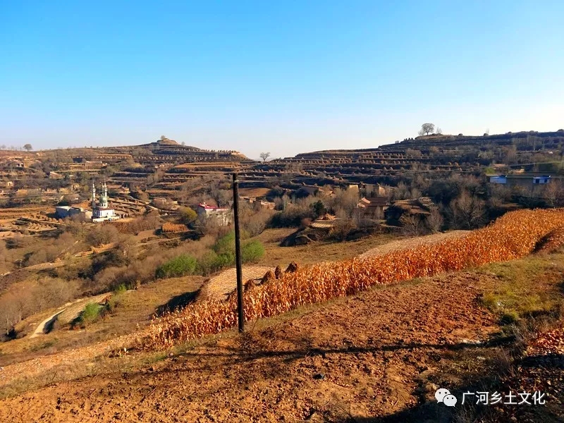 1554690233353664.jpg 2.webp.jpg