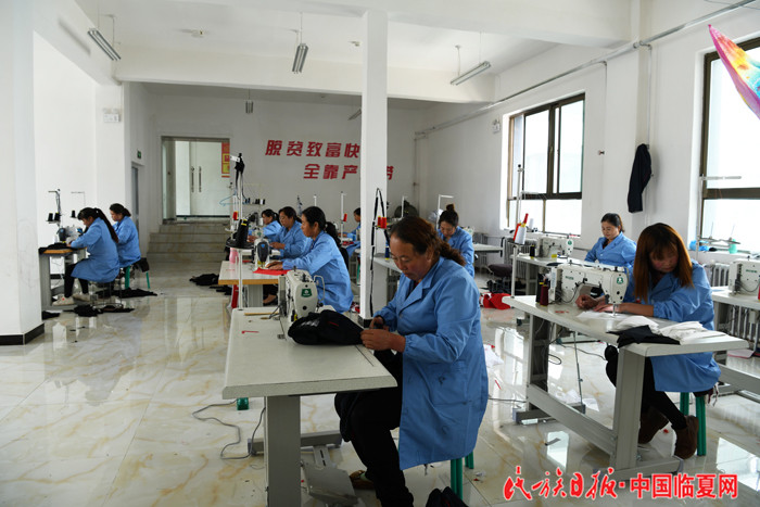 临夏县梦欣制衣农民合作社_副本.jpg