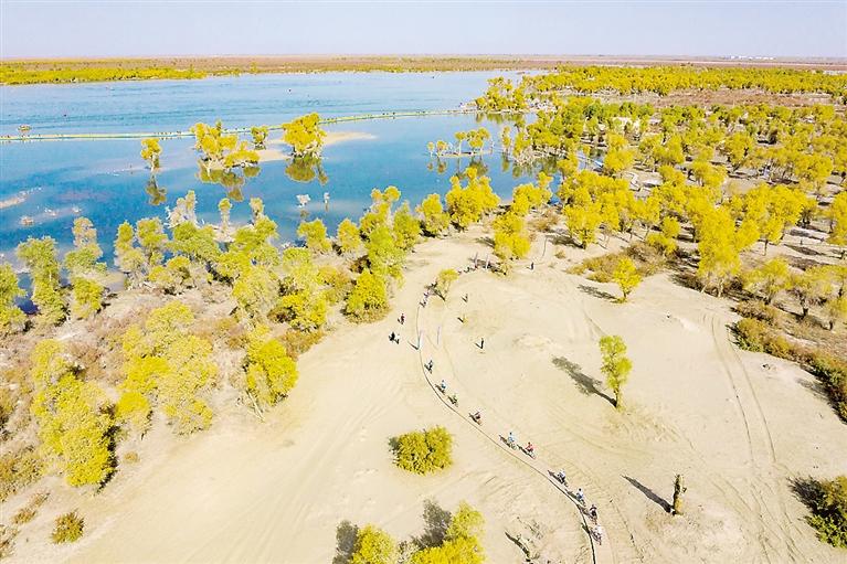 1603590648431611.jpg 1603590648431611.jpg