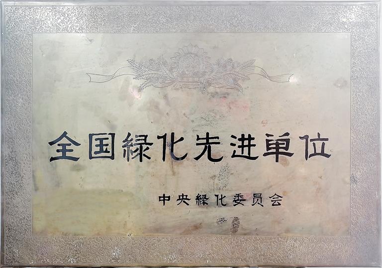 1607997480881110.jpg