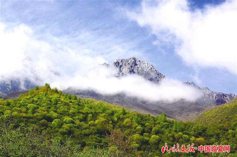 1618803241891326.jpg c966afb4-995c-484e-bbd7-8552c6503215.jpg.jpg