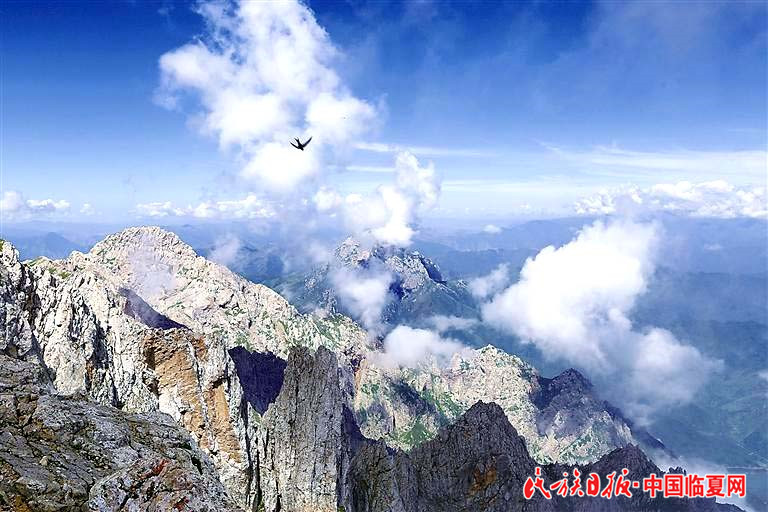 1618803269586714.jpg 1618803269586714.jpg