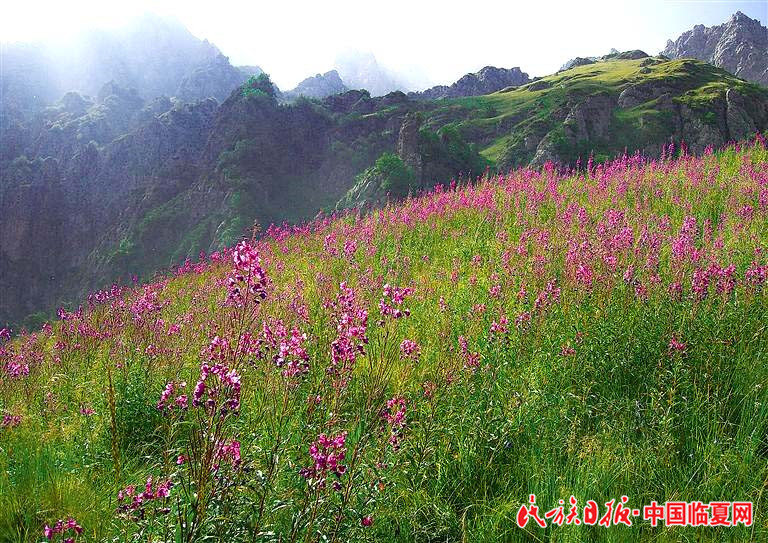 1618803282966034.jpg c695cf1d-9fa3-48ef-b911-8176f8795dc0.jpg.jpg