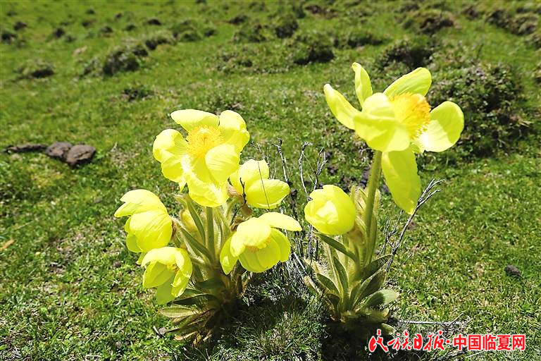 1618803302975220.jpg 0b261681-d4cd-4df4-a396-629a227a93d4.jpg.jpg